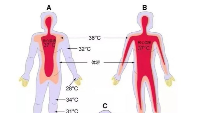 工業(yè)紅外測(cè)溫儀-便攜式熱成像測(cè)溫儀能用于體溫檢測(cè)嗎？
